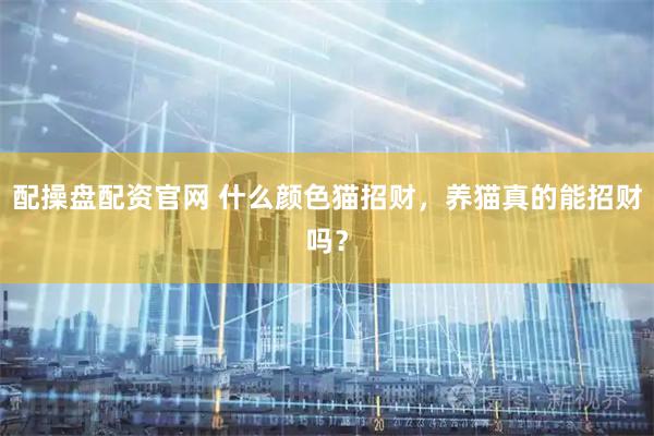 配操盘配资官网 什么颜色猫招财，养猫真的能招财吗？