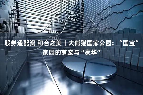 股券通配资 和合之美｜大熊猫国家公园：“国宝”家园的萌宠与“豪华”