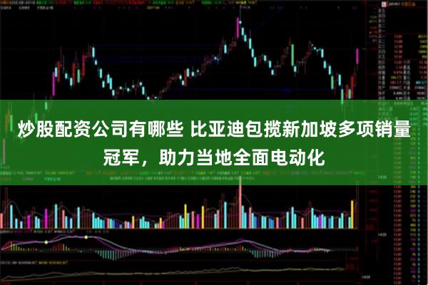 炒股配资公司有哪些 比亚迪包揽新加坡多项销量冠军，助力当地全面电动化