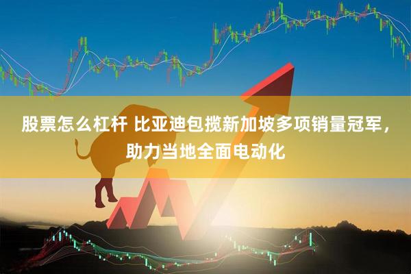 股票怎么杠杆 比亚迪包揽新加坡多项销量冠军，助力当地全面电动化