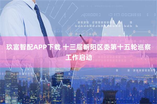 玖富智配APP下载 十三届朝阳区委第十五轮巡察工作启动